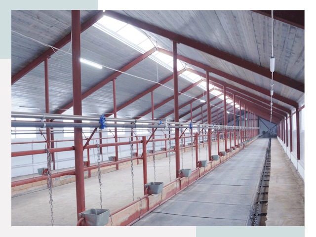 Строительство коровников в Астрахани от 617 руб.